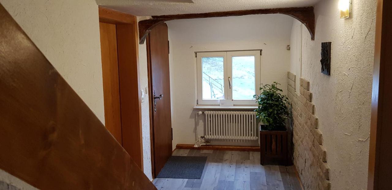 Ferienhof Ziegler - Studio Fingerhut 拜尔斯布龙 外观 照片